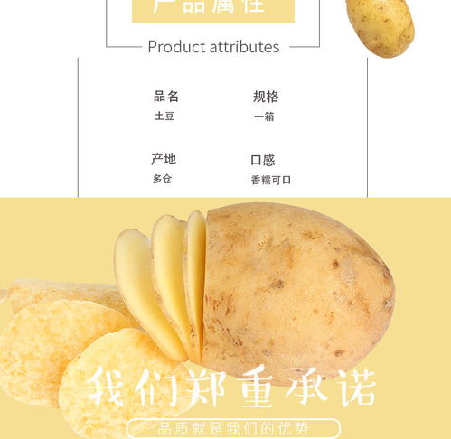 云南黃皮小土豆 現挖現賣的新鮮馬鈴薯，體驗泥土的芬芳
